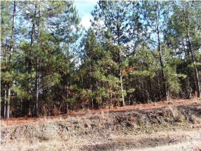 0 River Rd, Titus, AL 36080