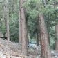 17 Manker Flats, Mt Baldy, CA 91759 ID:5151125