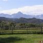 4200 County Road 24, Ridgway, CO 81432 ID:6410053