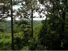 22 W. Bluff Ln., Eureka Springs, AR 72631