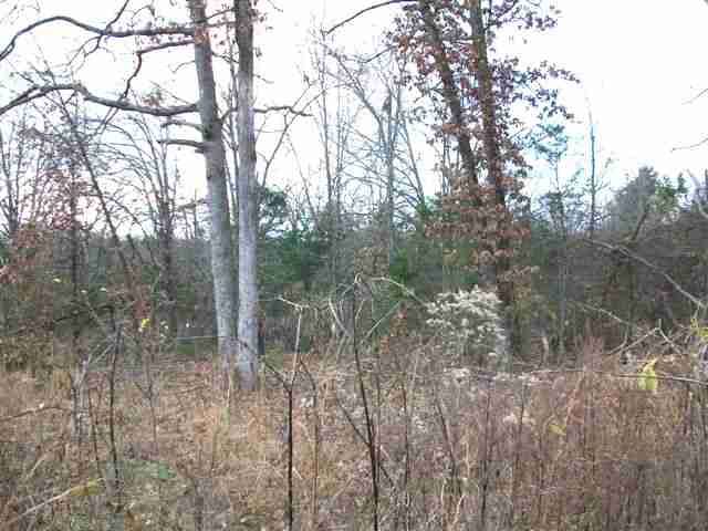 Lot 9 Rain Harbor Drive, Lead Hill, AR 72644