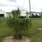 12601 SW 248 ST, Homestead, FL 33032 ID:1116286