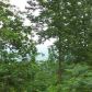 Lot 3 Homestead Lane, Lead Hill, AR 72644 ID:1163903