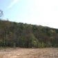 Lot 3 Homestead Lane, Lead Hill, AR 72644 ID:1163910