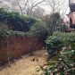 Unit F4 - 6851 Roswell Road, Atlanta, GA 30328 ID:5600117