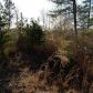 0 Emory Road, Talking Rock, GA 30175 ID:7366268