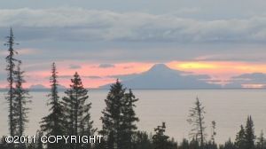 L14 Endless View Loop, Homer, AK 99603