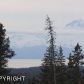 L14 Endless View Loop, Homer, AK 99603 ID:6886971