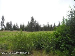 4750 W Hill Road, Homer, AK 99603