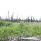 4750 W Hill Road, Homer, AK 99603 ID:6887206