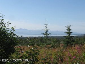 55049 Bonnie Avenue, Homer, AK 99603