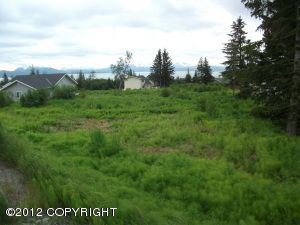 789 Daybreeze Court, Homer, AK 99603