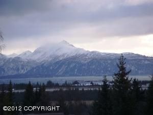 L1B Uminski Circle, Homer, AK 99603