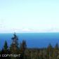 L2 Endless View Loop, Homer, AK 99603 ID:6886864