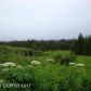 L2 Endless View Loop, Homer, AK 99603 ID:6886865