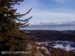 L4 B1 Suchaview Road, Homer, AK 99603