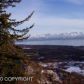 L4 B1 Suchaview Road, Homer, AK 99603 ID:6887560