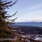 L4 B1 Suchaview Road, Homer, AK 99603 ID:6887569