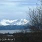 L1B Uminski Circle, Homer, AK 99603 ID:6888463