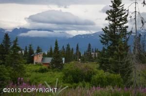 34741 Lowbush Street, Homer, AK 99603