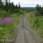 34741 Lowbush Street, Homer, AK 99603 ID:6888346