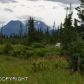 34741 Lowbush Street, Homer, AK 99603 ID:6888347