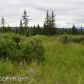 34741 Lowbush Street, Homer, AK 99603 ID:6888350