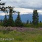 34741 Lowbush Street, Homer, AK 99603 ID:6888351