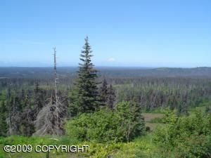 66560 Suzi's Trail, Homer, AK 99603