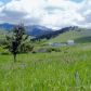 36 Morrison Rd, Wilsall, MT 59086 ID:7445561