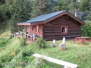 000 Bear Cove, Homer, AK 99603