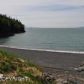 000 Bear Cove, Homer, AK 99603 ID:6889314