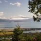 1850 E Skyline Drive, Homer, AK 99603 ID:6888553