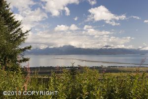 1790 E Skyline Drive, Homer, AK 99603