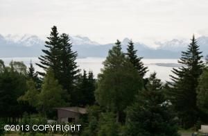 970 Rosebud Court, Homer, AK 99603