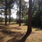 783 Gopher Road Ridge, Samson, AL 36477 ID:1530342