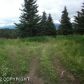 33041 Furrow Road, Homer, AK 99603 ID:6886741