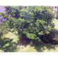 10369 NW 24TH PL # 402, Fort Lauderdale, FL 33322 ID:933653