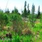 53991 Tremain Avenue, Homer, AK 99603 ID:6887003