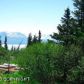 53991 Tremain Avenue, Homer, AK 99603 ID:6887004