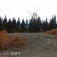 53991 Tremain Avenue, Homer, AK 99603 ID:6887006