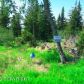 53991 Tremain Avenue, Homer, AK 99603 ID:6887007