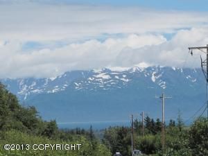 L3 W Fairview Avenue, Homer, AK 99603