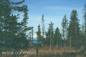 41620 Ridge Circle, Homer, AK 99603