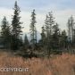 41620 Ridge Circle, Homer, AK 99603 ID:6889582