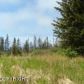 41620 Ridge Circle, Homer, AK 99603 ID:6889584