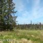 41620 Ridge Circle, Homer, AK 99603 ID:6889587