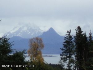 L4 B2 Forest Glen Drive, Homer, AK 99603