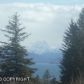 L4 B2 Forest Glen Drive, Homer, AK 99603 ID:6888414