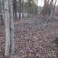 8 Honeysuckle Trail, Dawsonville, GA 30534 ID:7204131